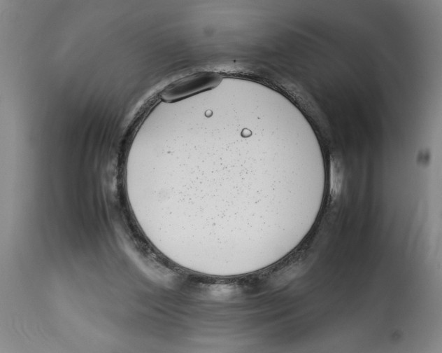 X0000112790204200909181521