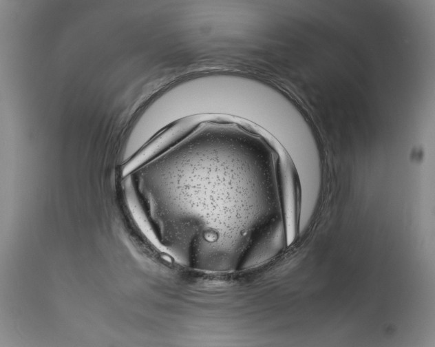 X0000112790205200909181521