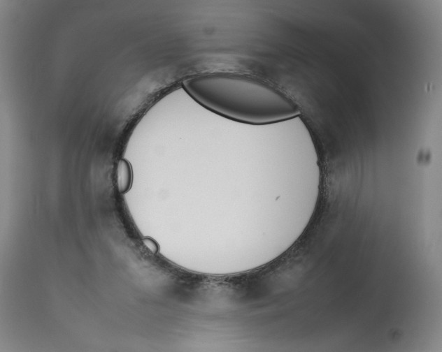 X0000112790207200909181521