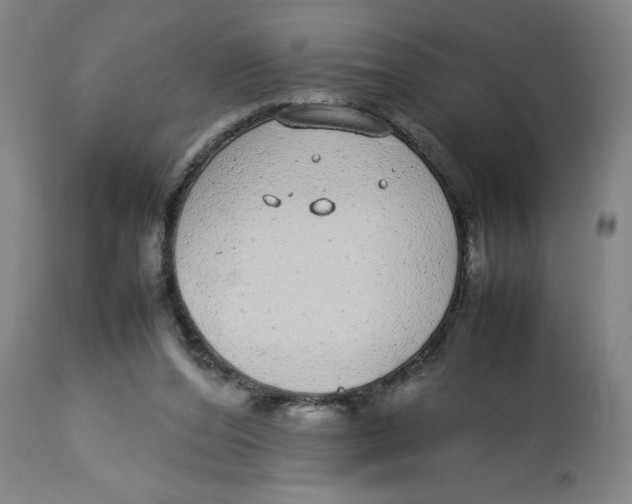 X0000112790208200909181521