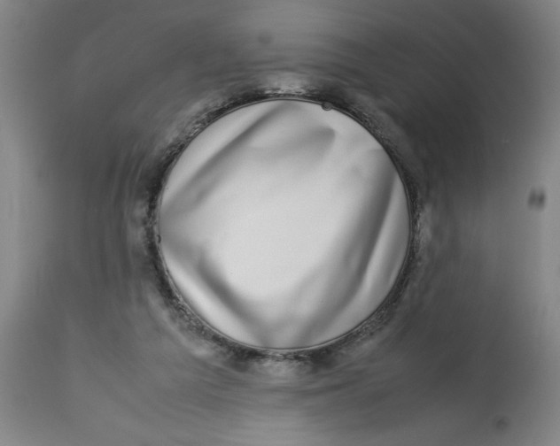 X0000112790209200909181521