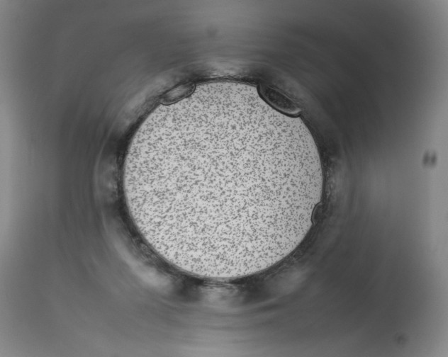 X0000112790215200909181521