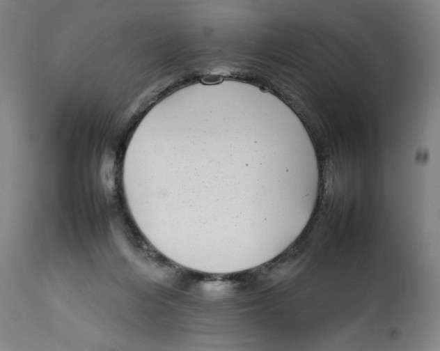 X0000112790216200909181521