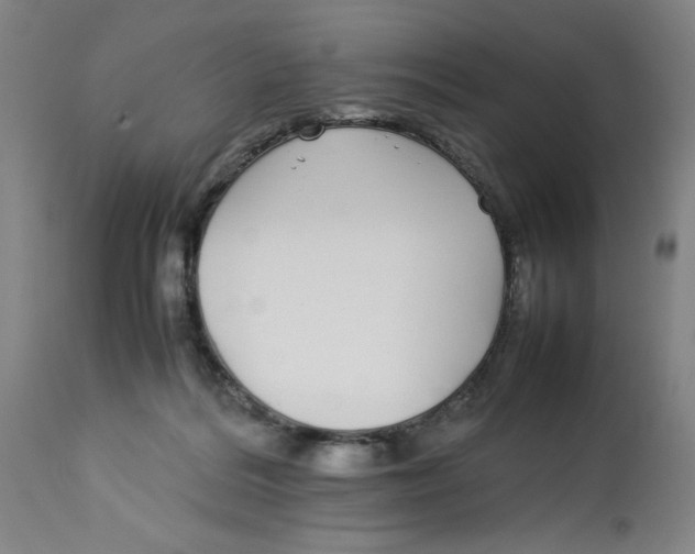 X0000112790220200909181521