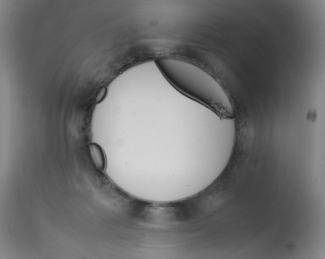 X0000112790221200909181521