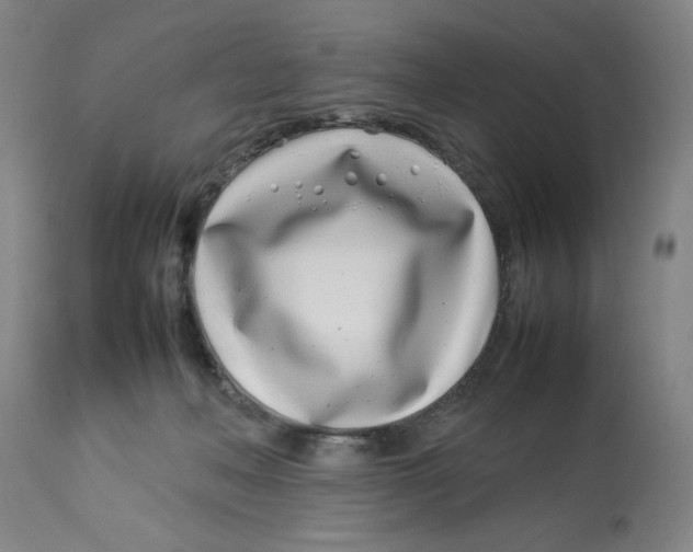 X0000112790222200909181521