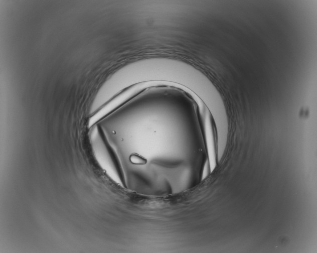 X0000112790223200909181521