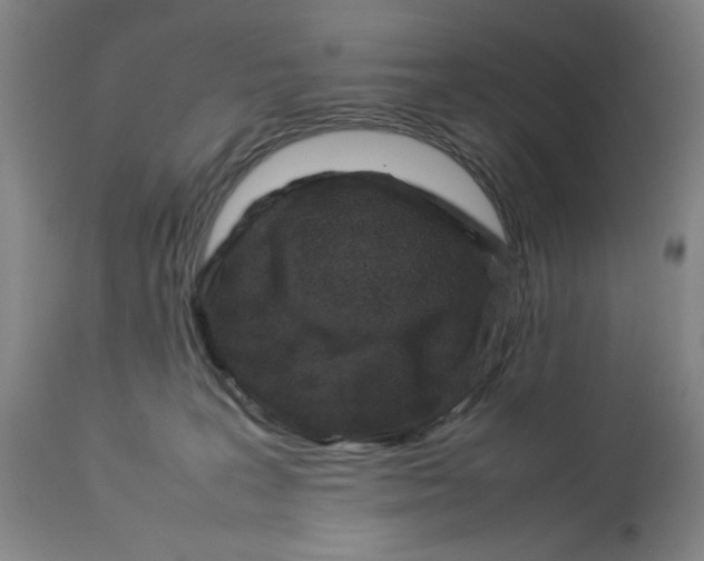 X0000112790227200909181521