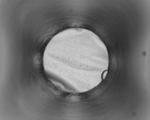 X0000112790228200909181521