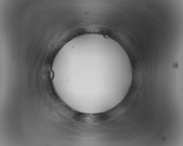 X0000112790229200909181521