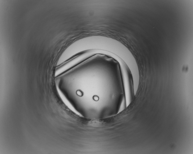 X0000112790231200909181521