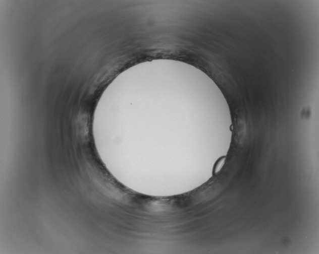 X0000112790232200909181521