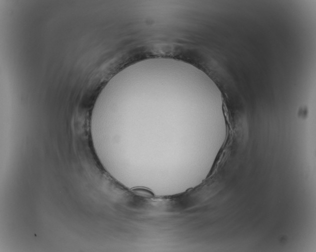 X0000112790233200909181521