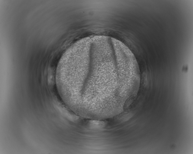 X0000112790234200909181521