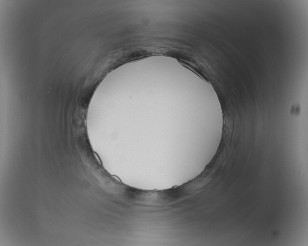 X0000112790237200909181521