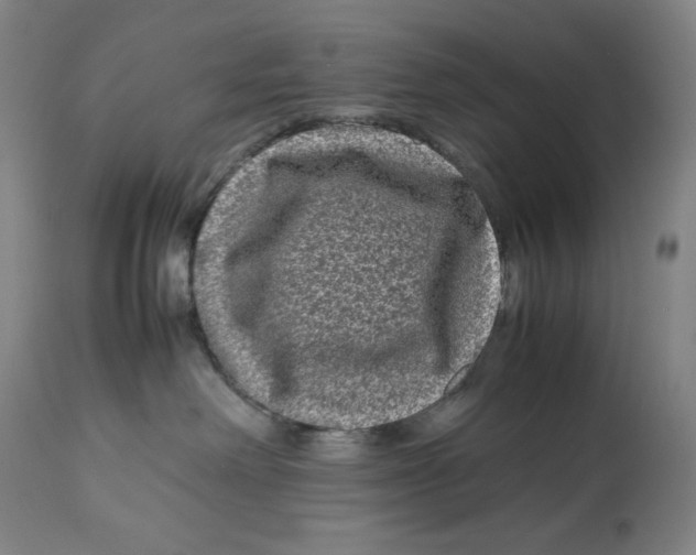 X0000112790238200909181521