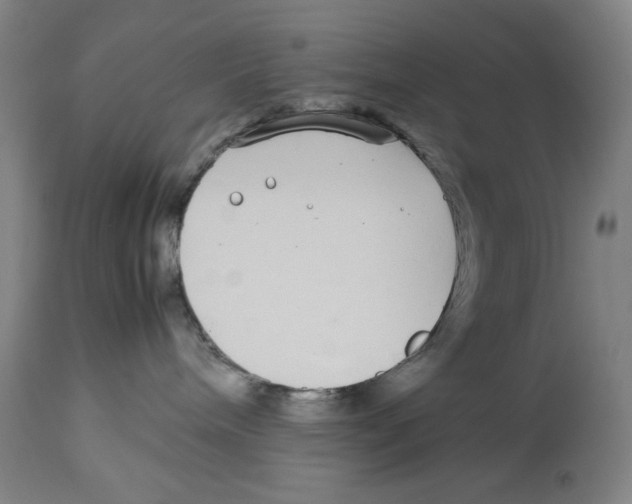 X0000112790240200909181521