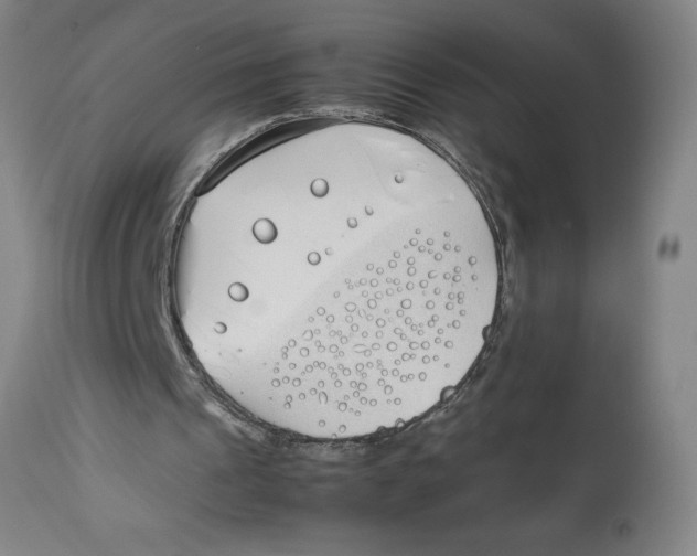 X0000112790241200909181520