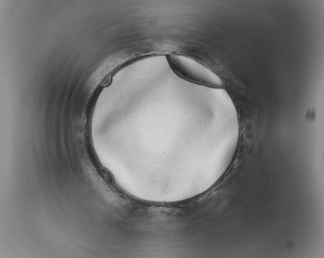 X0000112790242200909181520