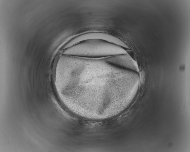 X0000112790243200909181520