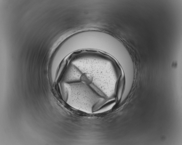 X0000112790244200909181520