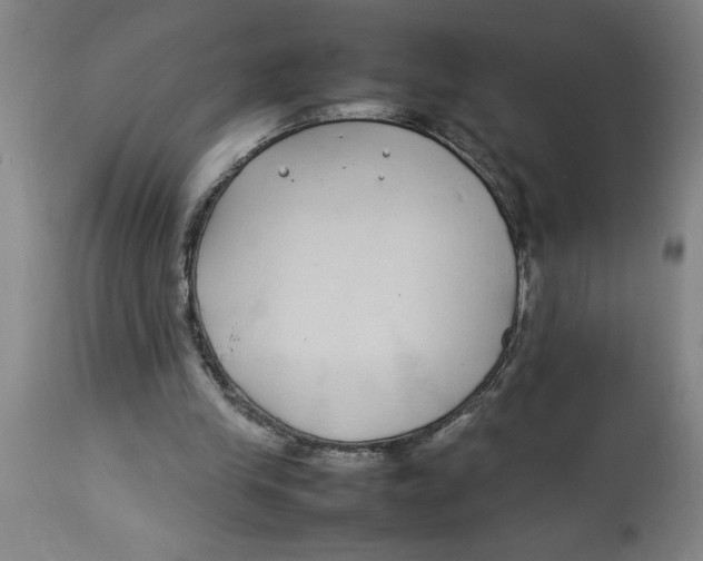 X0000112790245200909181520