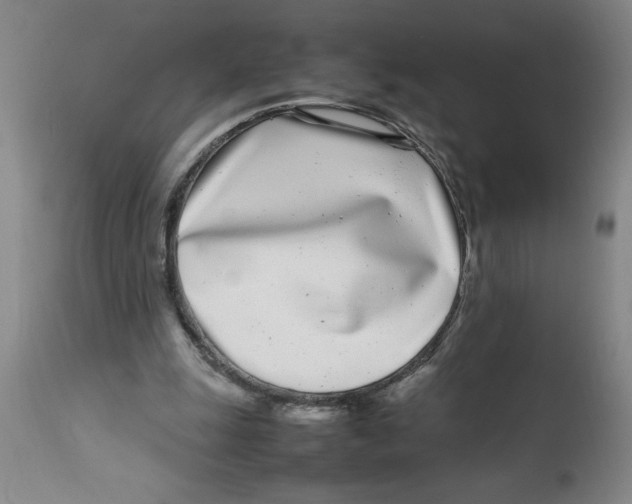 X0000112790247200909181520