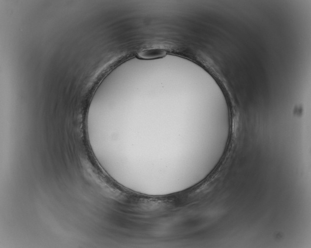 X0000112790249200909181520