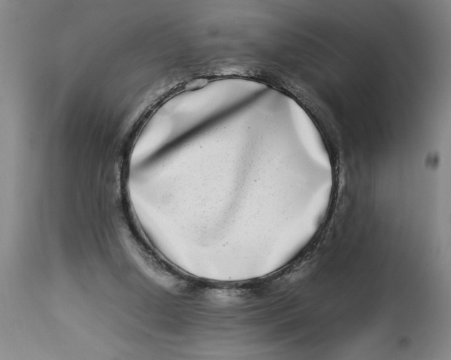 X0000112790250200909181520