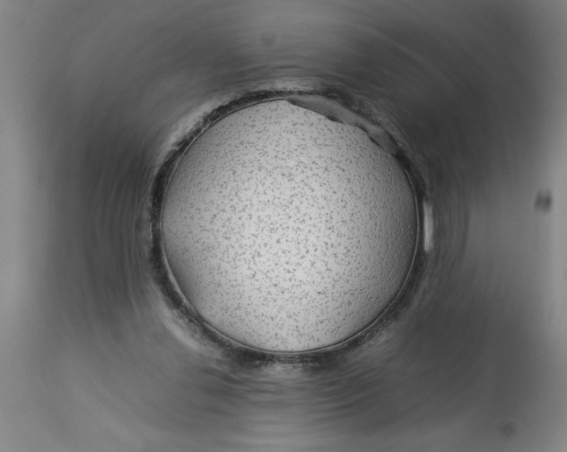 X0000112790252200909181520