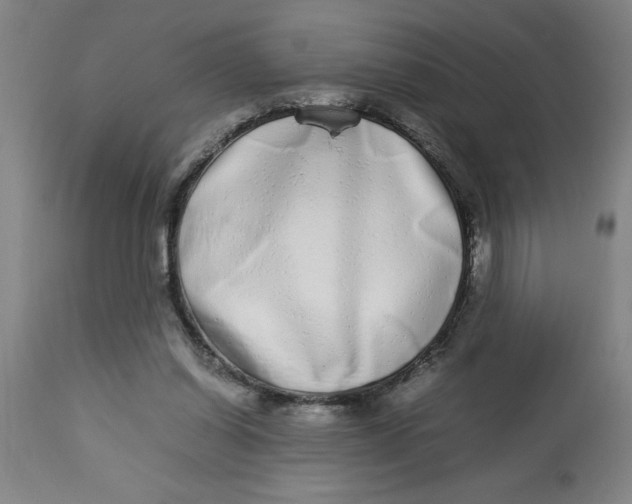 X0000112790254200909181520