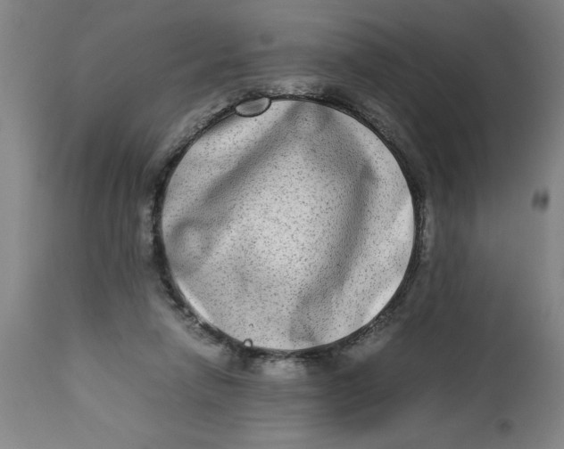 X0000112790258200909181520