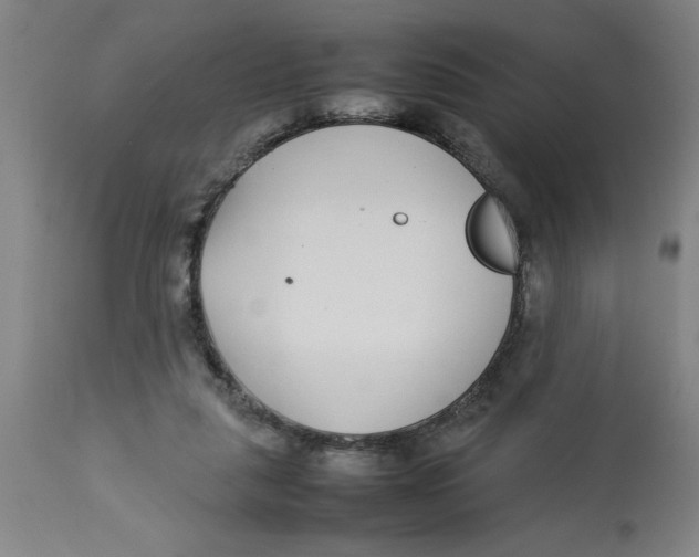 X0000112790259200909181520