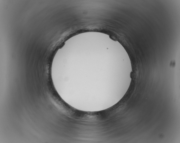 X0000112790260200909181520