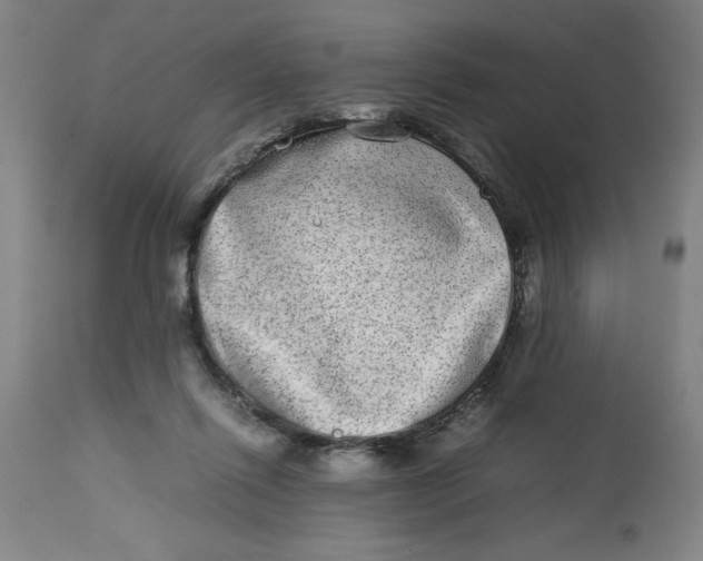 X0000112790262200909181520