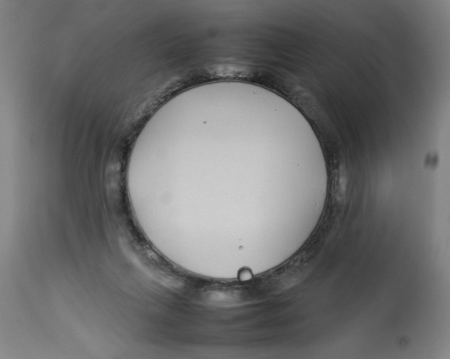 X0000112790263200909181520