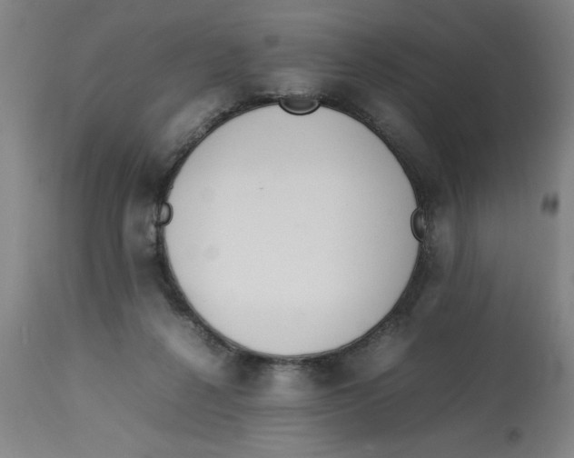 X0000112790264200909181520