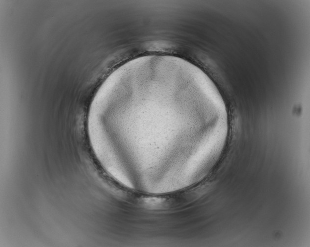 X0000112790265200909181520