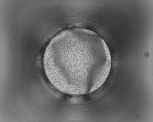 X0000112790270200909181520