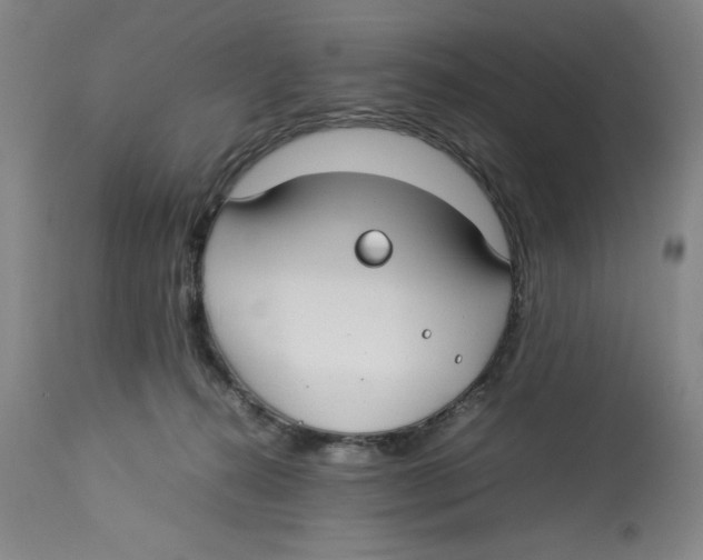 X0000112790272200909181520