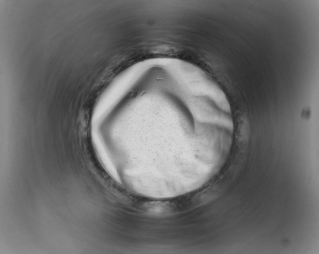 X0000112790273200909181520