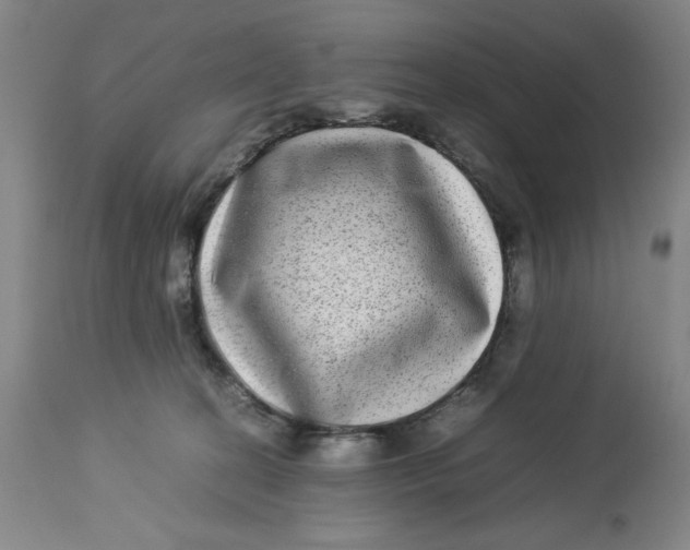 X0000112790274200909181520