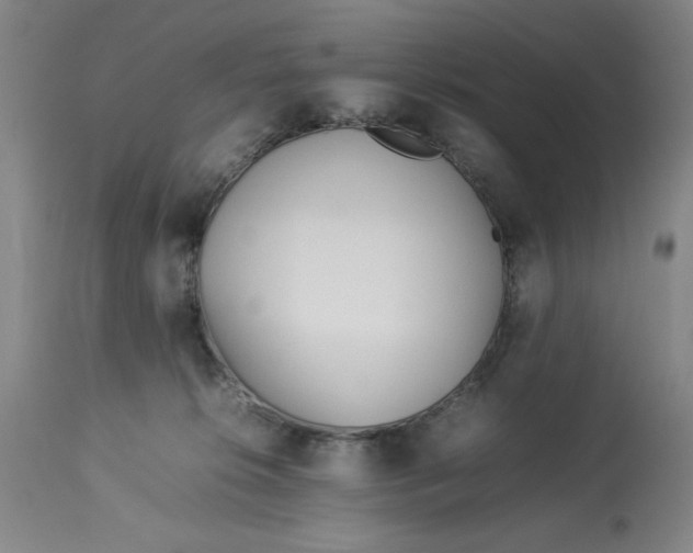 X0000112790276200909181520