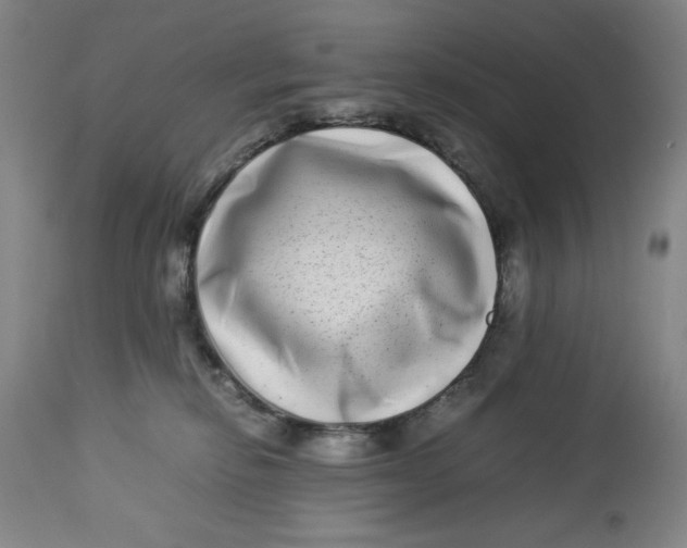 X0000112790278200909181520