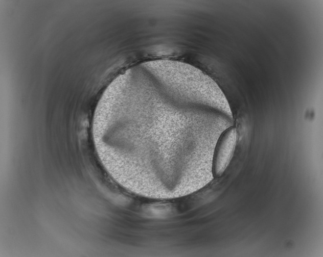 X0000112790279200909181520