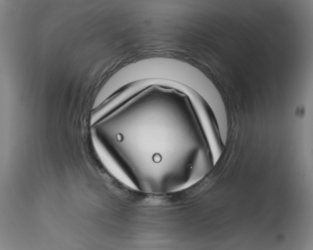 X0000112790280200909181520