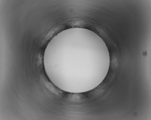 X0000112790282200909181521