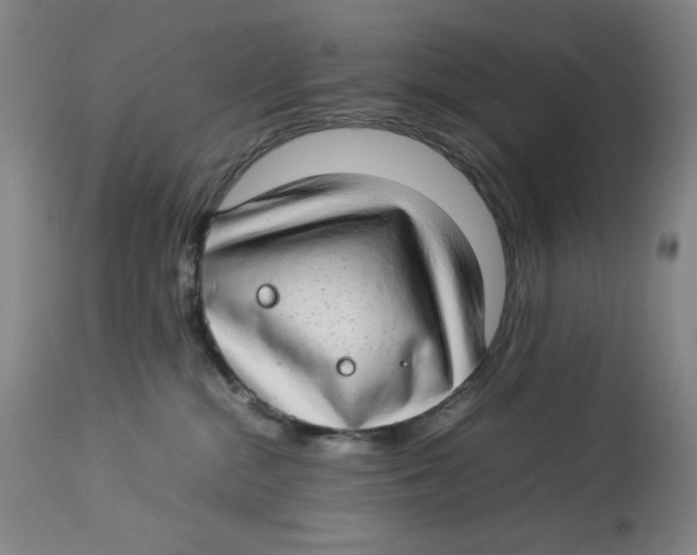 X0000112790284200909181521