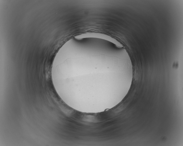 X0000112790285200909181521