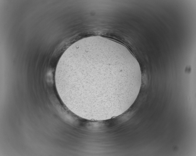 X0000112790286200909181521